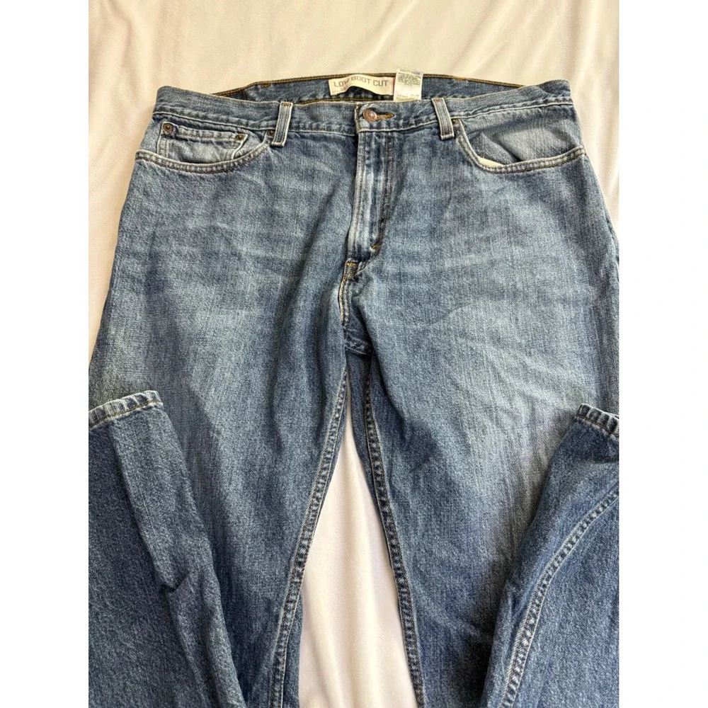 Levis levi 527